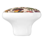 Vintager Pilz-Führer-Fach-Zug Keramikknauf (Seitenansicht)