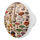 Vintager Pilz-Führer-Fach-Zug Keramikknauf (Rechts)