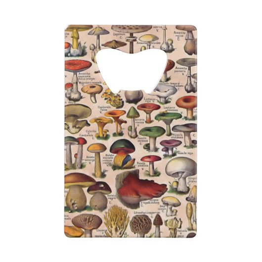 Vintager Pilz-Führer-Flaschen-Öffner Geldbeutel Flaschenöffner (Rückseite)