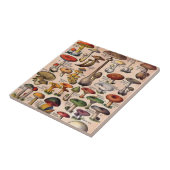 Vintager Pilz-Führer Fliese (Seite)