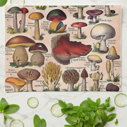 Vintager Pilz-Führer Geschirrtuch (Gefaltet)