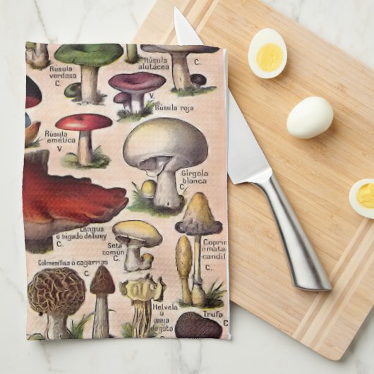 Vintager Pilz-Führer Geschirrtuch (Viertel Falte)