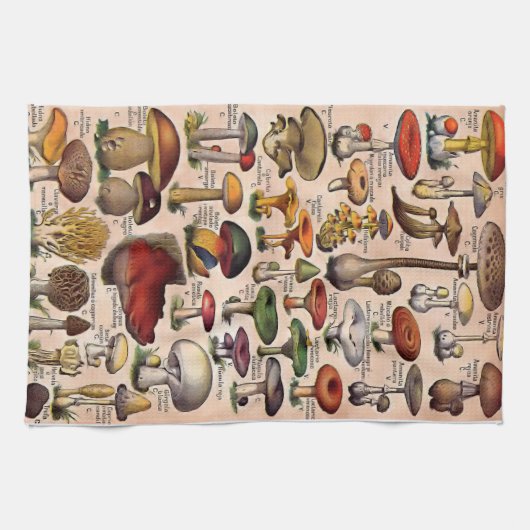 Vintager Pilz-Führer Geschirrtuch (Horizontal)