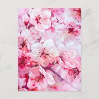 Vintager Pink-Pink-Petal-Blossom