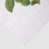 Vintager Pink Tee Rose Blume Seidenpapier (Detail)