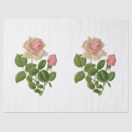 Vintager Pink Tee Rose Blume Seidenpapier