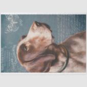 Vintager Pointer Dog mit Ephemera Decoupage Seidenpapier (Vorderseite)