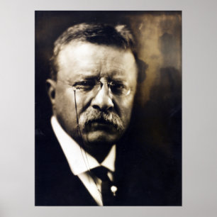 Vintager politischer Präsident Theodore Roosevelt Poster