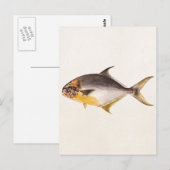 Vintager Pompanischer Fisch - Game Fish Template B Postkarte (Vorne/Hinten)