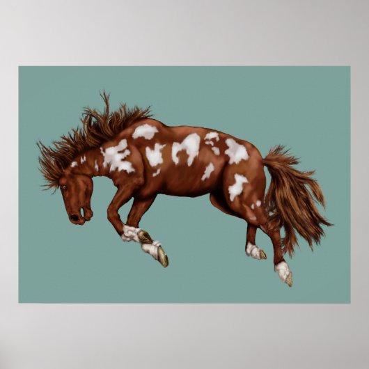 Vintager Pony Poster (Vorne)