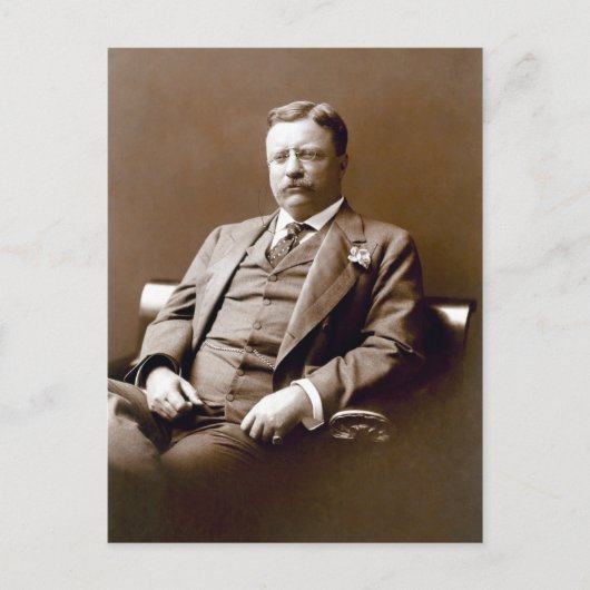 Vintager Präsident Theodore Teddy Roosevelt Postkarte (Vorderseite)