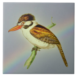 Vintager Puff Bird mit Rainbow Sky Fliese