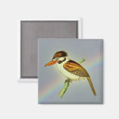 Vintager Puff Bird mit Rainbow Sky Magnet (Vorderseite/Rückseite)