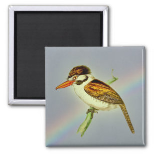 Vintager Puff Bird mit Rainbow Sky Magnet