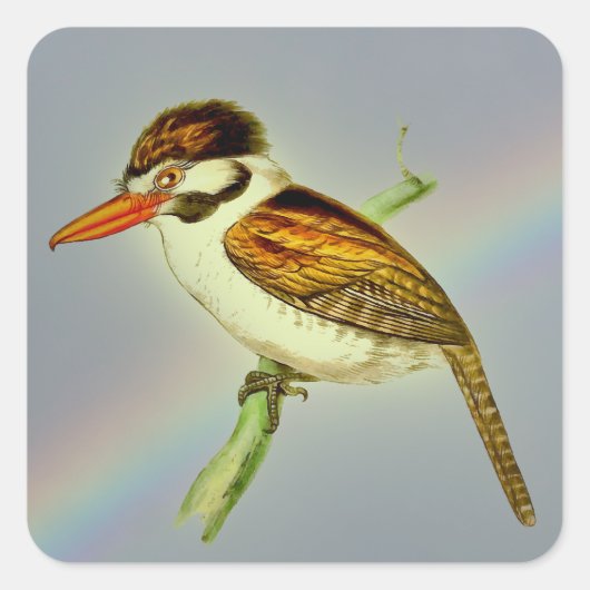 Vintager Puff Bird mit Rainbow Sky Quadratischer Aufkleber (Vorderseite)