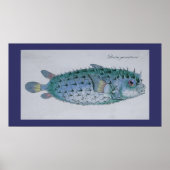 Vintager Pufffisch Poster (Vorne)