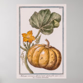 Vintager Pumpkin von Giorgio Bonelli Poster (Vorne)