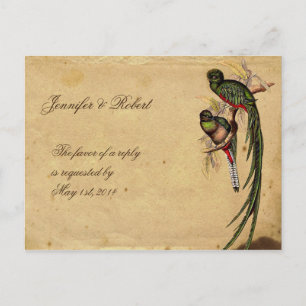 Vintager Quetzal Bird Elegante UAWG Postkarte