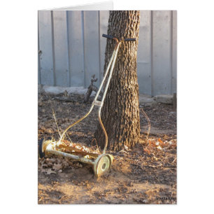 Vintager Rasenmäher