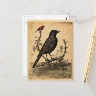 Vintager Raven & Red Bird Postkarte