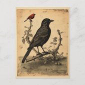Vintager Raven & Red Bird Postkarte (Vorderseite)