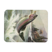 Vintager Regenbogenforellenfisch, Fischfang Magnet (Horizontal)