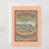 Vintager Reiseführer für Dublin Irland (Vorderseite)