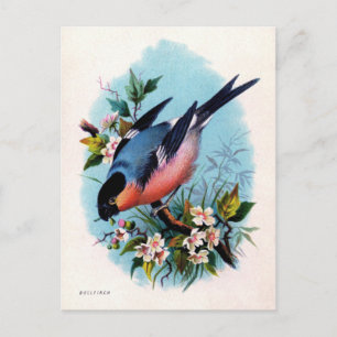 Vintager Retro-Vogel auf Zweigstellenkarte Postkarte