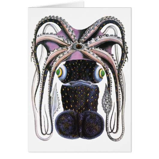 Vintager Riesen-Tintenfisch oder Oktopus, Meeresti (Vorne)