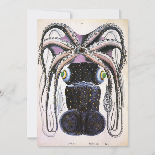 Vintager Riesen-Tintenfisch oder Oktopus, Meeresti (Vorderseite)