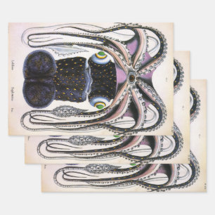 Vintager Riesen-Tintenfisch oder Oktopus, Meeresti Geschenkpapier Set