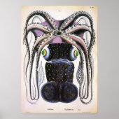 Vintager Riesenoktopus oder Tintenfisch, Meerestie Poster (Vorne)