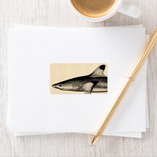 Vintager Riffhai-Illustration schwarz getippt Adressaufkleber (Insitu)