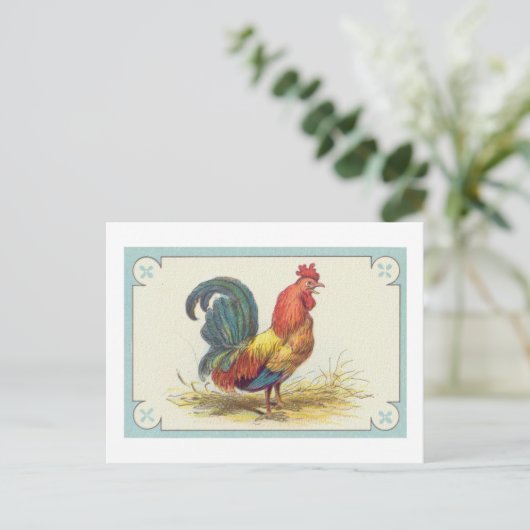 Vintager Roosterdruck Postkarte (Stehend Vorderseite)