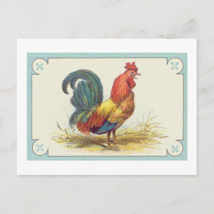 Vintager Roosterdruck Postkarte