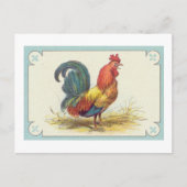 Vintager Roosterdruck Postkarte (Vorderseite)