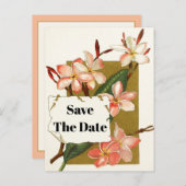 Vintager Rosa Korallenoleander Save the Date Ankündigungspostkarte (Vorne/Hinten)