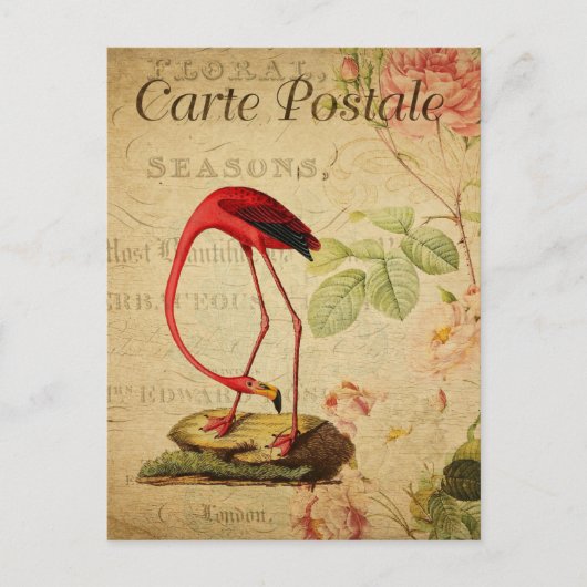 Vintager Roter Flamingo Postkarte (Vorderseite)