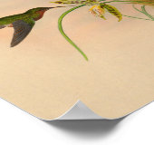 Vintager Roter Hummingvogel Gelbe Blume drucken Poster (Ecke)