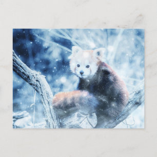 Vintager roter Panda im Schnee  Feiertagspostkarte