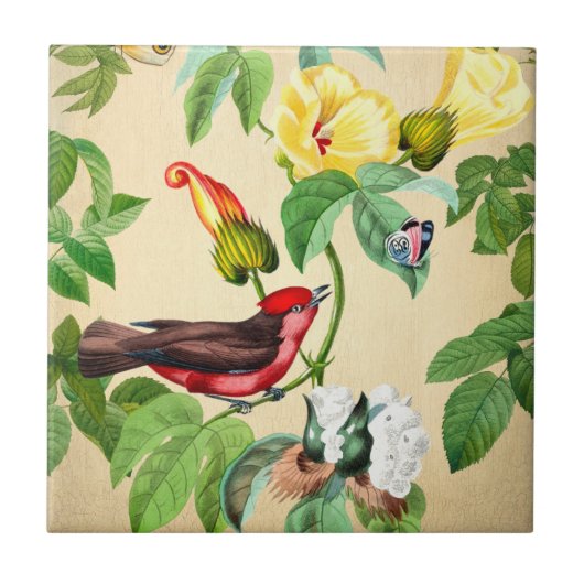 Vintager Roter Vogel-Backsplash Fliese (Vorderseite)