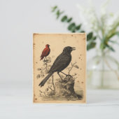 Vintager Roter Vogel und Raven Postkarte (Stehend Vorderseite)