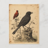 Vintager Roter Vogel und Raven Postkarte (Vorderseite)