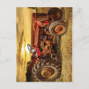 Vintager roter Zuchttraktor Postkarte