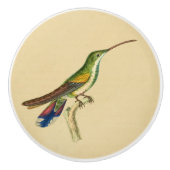 Vintager Rotgrüner Hummingvogel-Drehknopf Keramikknauf (Vorderseite)