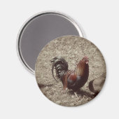 Vintager Rothahn Magnet (Vorderseite/Rückseite)