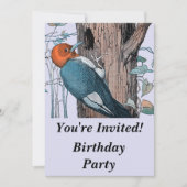 Vintager Rotkopfspecht Einladung (Vorderseite)