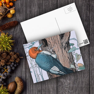 Vintager Rotkopfspecht Postkarte