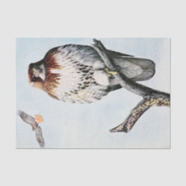 Vintager Rotschwanzhawk Seidenpapier