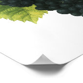 Vintager Rotwein, Bio Traubencluster, Lebensmittel Poster (Ecke)